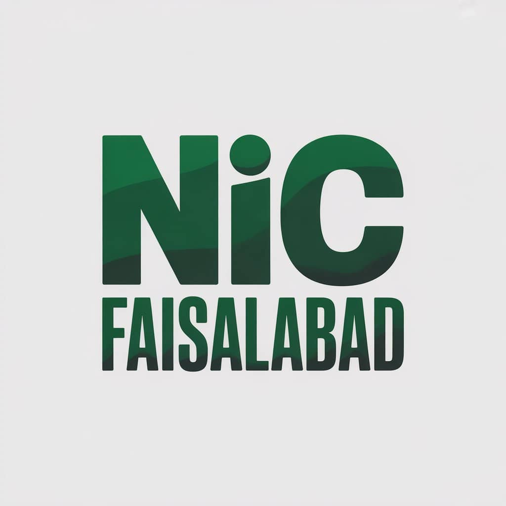 Nic faisalabad