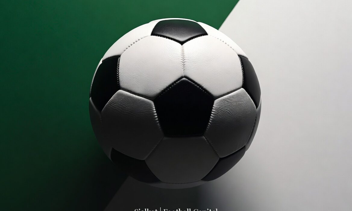 Sialkot, Pakistan — the Football Capital of the World — stitches approximately 70% of the world’s hand-stitched footballs, including the official match ball for FIFA World Cup 2026. Discover how this thriving industry generated $221.8 million in exports from 47.9 million balls, creates jobs for over 300,000 workers, and serves as a powerful engine of economic growth for Pakistan.